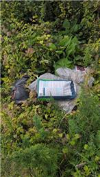 Fly Tipping